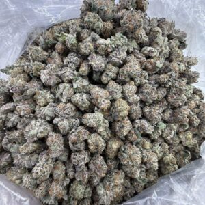 MONSTER COOKIES